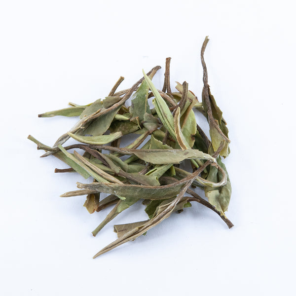 Wild White Peony White Tea (Bai Mu Dan)